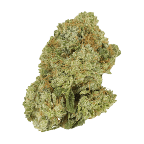 Green Lantern | Pacific Green Canada