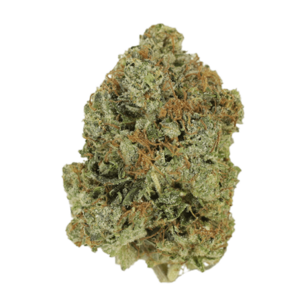 Watermelon Gelato | Pacific Green Canada