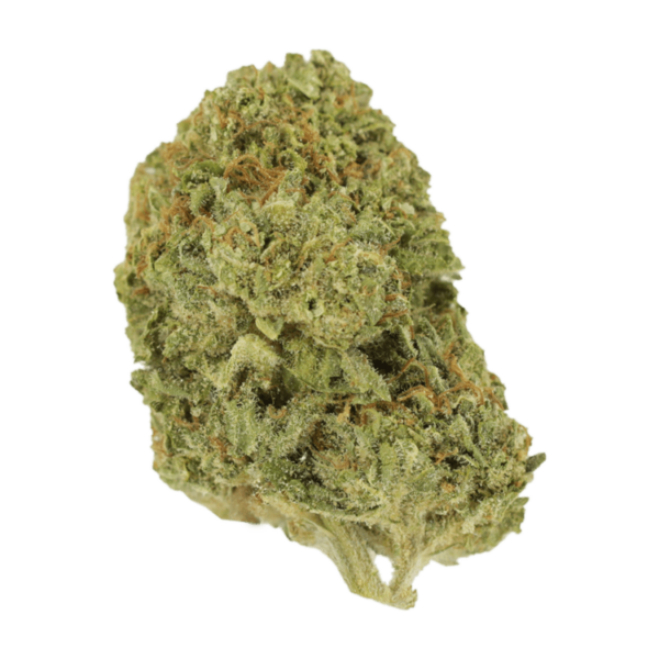 Mango Cream | Pacific Green Canada