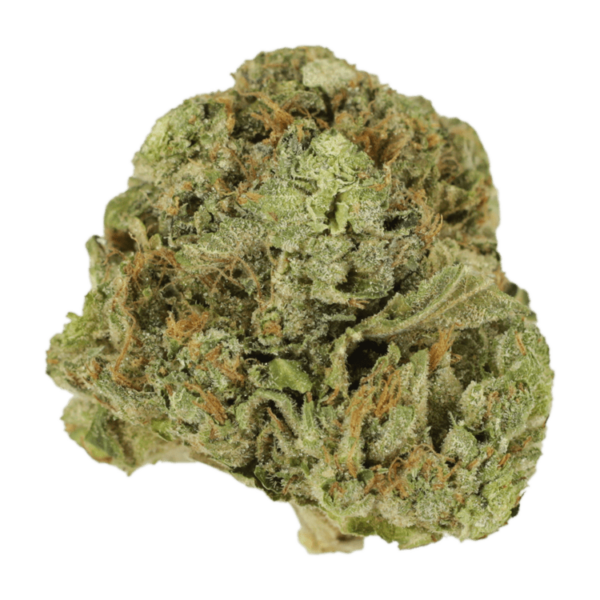 Mango Cream | Pacific Green Canada