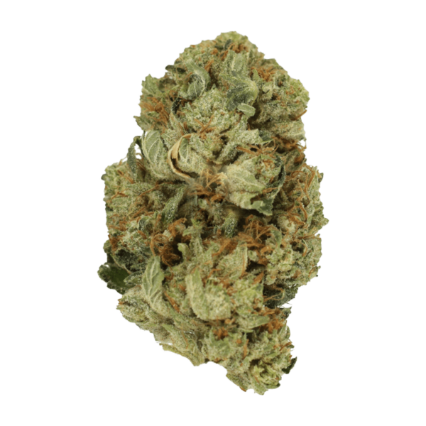 Pink Starburst | Pacific Green Canada