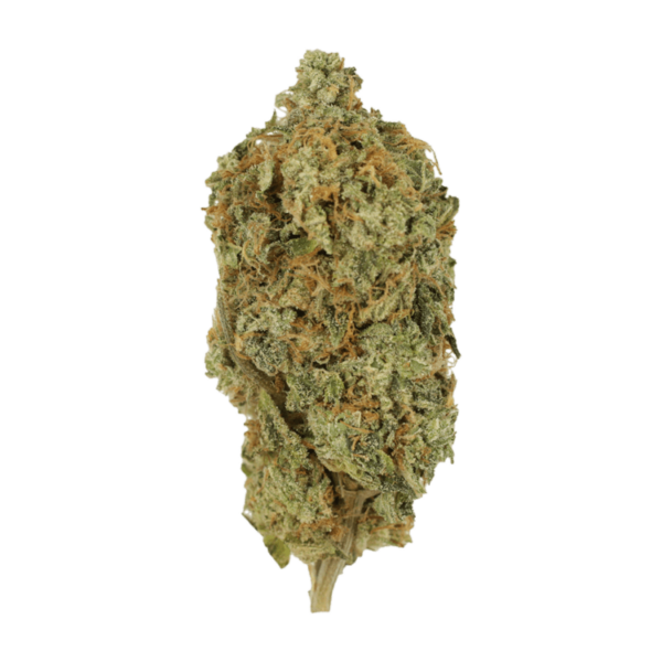 Gas Face | Pacific Green Canada