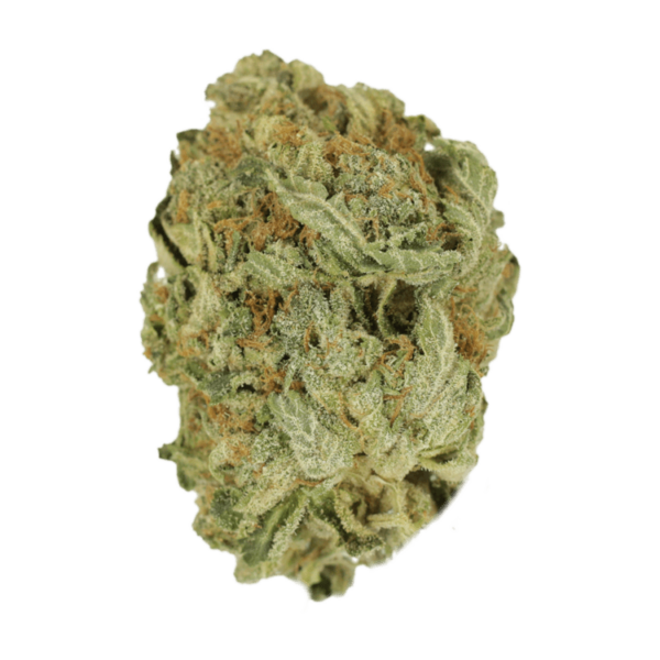 Ghost Bubba | Pacific Green Canada