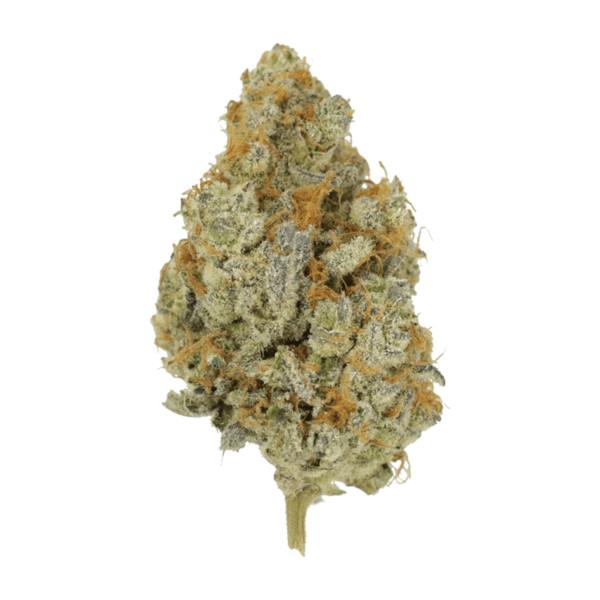 Peanut Butter Rockstar | Pacific Green Canada