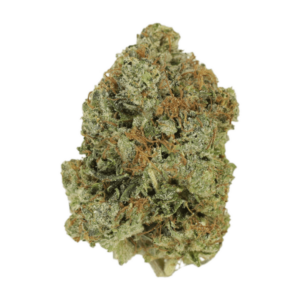 Jack Herer (popcorn) | Pacific Green Canada