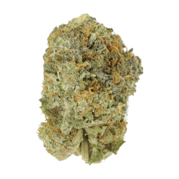 Strawberry Shortcake | Pacific Green Canada