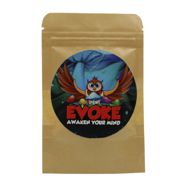 Evoke – Medicinal Mushrooms – Microdose Capsules | Pacific Green Canada