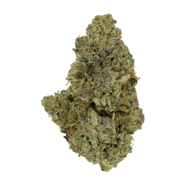 Purple Urkle | Pacific Green Canada