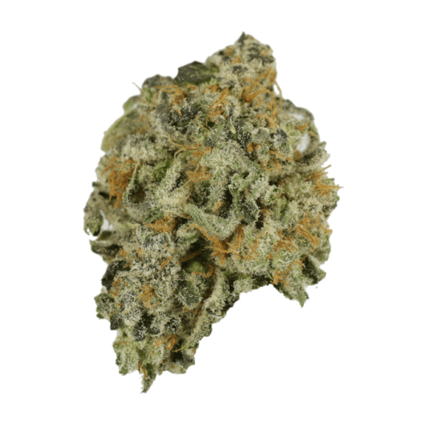 Alien Rock Candy | Pacific Green Canada