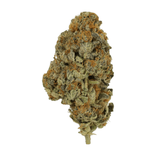 Key Lime Pie | Pacific Green Canada