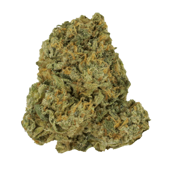 Purple Punch | Pacific Green Canada