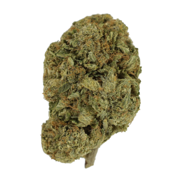 Grape Ape (AAA) | Pacific Green Canada