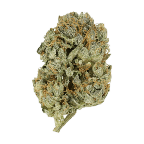 Kashmir Kush | Pacific Green Canada