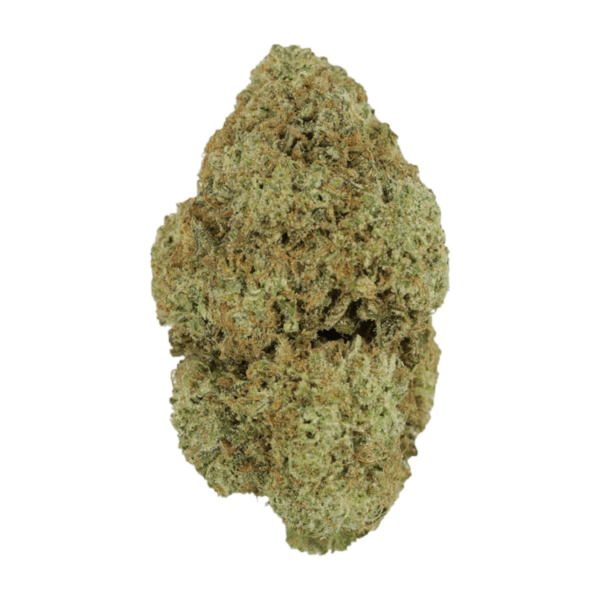 Vanilla Wafer | Pacific Green Canada