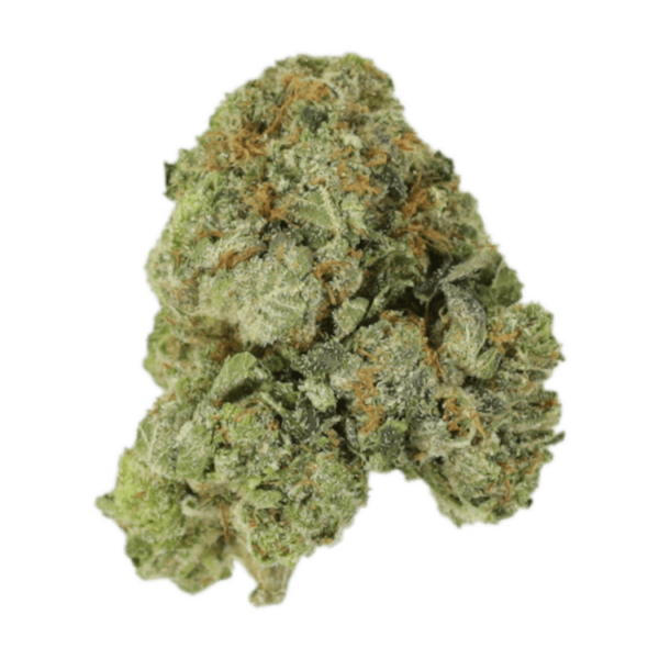 White Russian | Pacific Green Canada