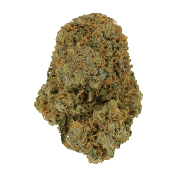 Fruit Punch | Pacific Green Canada