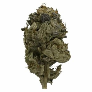 Pacific Green Canada - Pink Gas Strain | Pacific Green Canada