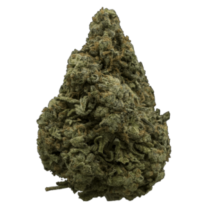 White Rhino | Pacific Green Canada