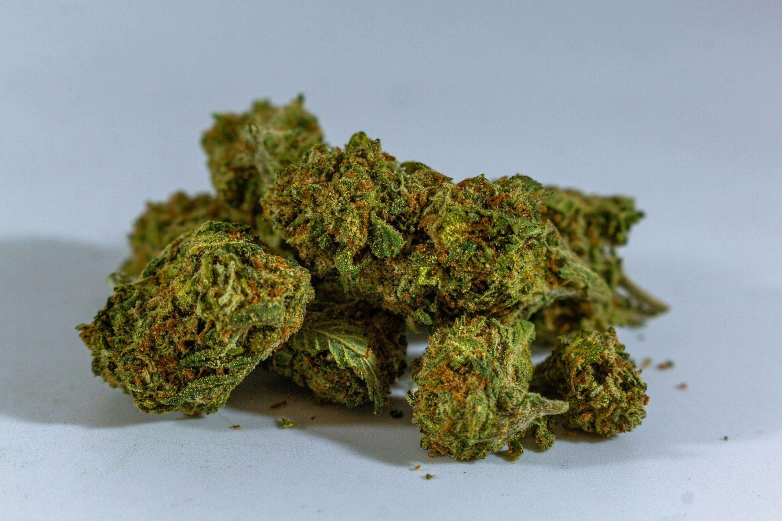 cheap-weed-online-canada | Pacific Green Canada