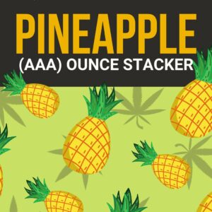 Pineapple 1 OZ Kit | Pacific Green Canada